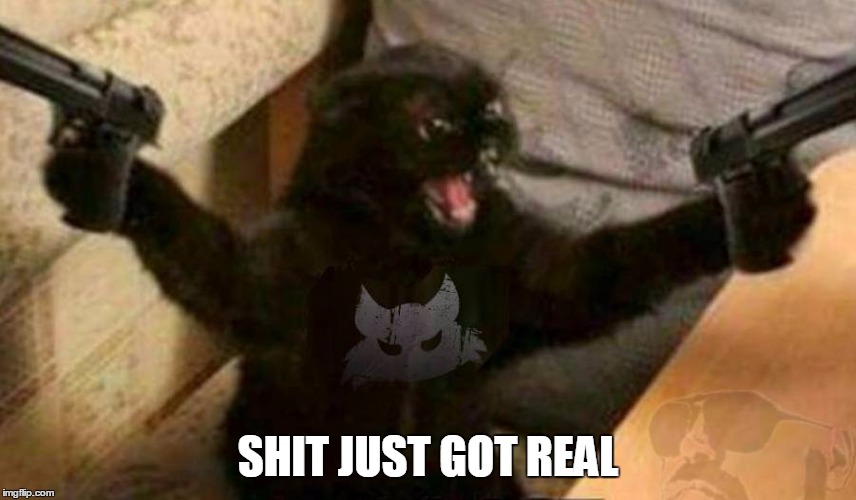 SHIT JUST GOT REAL | image tagged in angry cat | made w/ Imgflip meme maker