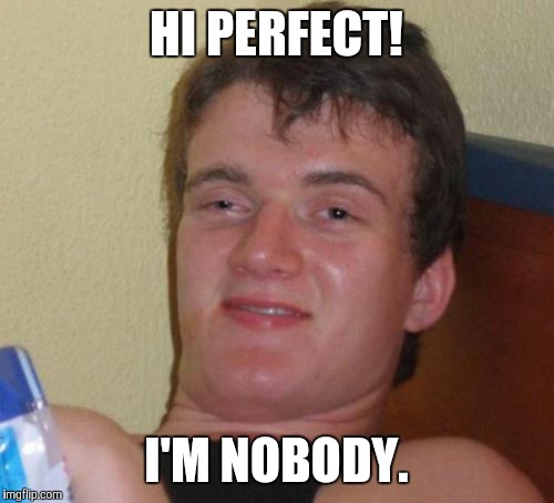 10 Guy Meme | HI PERFECT! I'M NOBODY. | image tagged in memes,10 guy | made w/ Imgflip meme maker