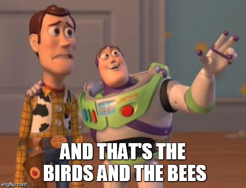 X, X Everywhere Meme | AND THAT'S THE BIRDS AND THE BEES | image tagged in memes,x x everywhere | made w/ Imgflip meme maker