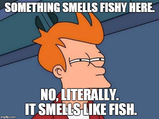 Futurama Fry | SOMETHING SMELLS FISHY HERE. NO, LITERALLY. IT SMELLS LIKE FISH. | image tagged in memes,futurama fry | made w/ Imgflip meme maker