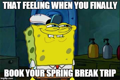 Don't You Squidward Meme | THAT FEELING WHEN YOU FINALLY BOOK YOUR SPRING BREAK TRIP | image tagged in memes,dont you squidward | made w/ Imgflip meme maker