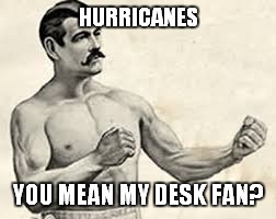 HURRICANES YOU MEAN MY DESK FAN? | image tagged in overly manly man | made w/ Imgflip meme maker