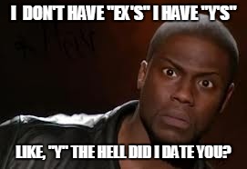 Kevin Hart Meme | I  DON'T HAVE "EX'S" I HAVE "Y'S" LIKE, "Y" THE HELL DID I DATE YOU? | image tagged in memes,kevin hart the hell | made w/ Imgflip meme maker