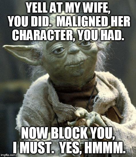 Star Wars Yoda Meme | YELL AT MY WIFE, YOU DID.  MALIGNED HER CHARACTER, YOU HAD. NOW BLOCK YOU, I MUST.  YES, HMMM. | image tagged in yoda | made w/ Imgflip meme maker