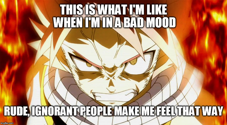 angry natsu dragneel | THIS IS WHAT I'M LIKE WHEN I'M IN A BAD MOOD RUDE, IGNORANT PEOPLE MAKE ME FEEL THAT WAY | image tagged in angry natsu dragneel | made w/ Imgflip meme maker