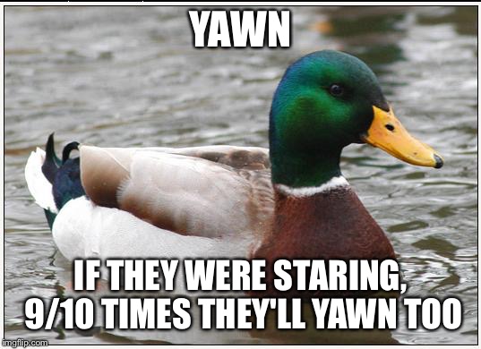 Actual Advice Mallard Meme | YAWN IF THEY WERE STARING, 9/10 TIMES THEY'LL YAWN TOO | image tagged in memes,actual advice mallard,AdviceAnimals | made w/ Imgflip meme maker