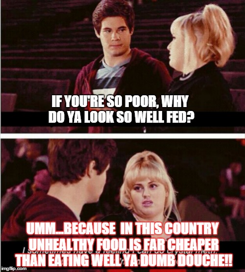 vote conservative  | IF YOU'RE SO POOR, WHY DO YA LOOK SO WELL FED? UMM...BECAUSE  IN THIS COUNTRY UNHEALTHY FOOD IS FAR CHEAPER THAN EATING WELL YA DUMB DOUCHE! | image tagged in vote conservative | made w/ Imgflip meme maker