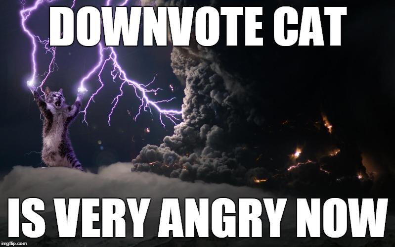 Downvote cat is unhappy.  On another note, I found the weirdest tag while looking for cat tags... check the tags on this meme! | DOWNVOTE CAT IS VERY ANGRY NOW | image tagged in memes,downvotes,grumpy cat says no to taylor swift as nyc global welcome ambas,cat | made w/ Imgflip meme maker