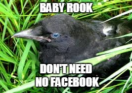 BABY ROOK DON'T NEED NO FACEBOOK | made w/ Imgflip meme maker