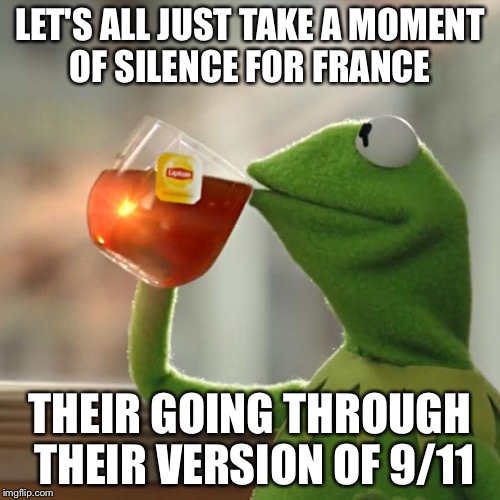 But That's None Of My Business Meme | LET'S ALL JUST TAKE A MOMENT OF SILENCE FOR FRANCE THEIR GOING THROUGH THEIR VERSION OF 9/11 | image tagged in memes,but thats none of my business,kermit the frog | made w/ Imgflip meme maker