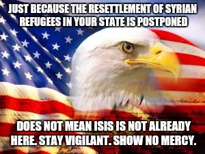 American Flag | JUST BECAUSE THE RESETTLEMENT OF SYRIAN REFUGEES IN YOUR STATE IS POSTPONED DOES NOT MEAN ISIS IS NOT ALREADY HERE. STAY VIGILANT. SHOW NO M | image tagged in american flag | made w/ Imgflip meme maker