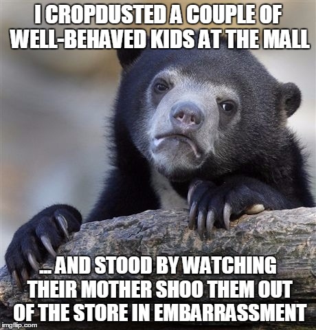 Confession Bear | I CROPDUSTED A COUPLE OF WELL-BEHAVED KIDS AT THE MALL ... AND STOOD BY WATCHING THEIR MOTHER SHOO THEM OUT OF THE STORE IN EMBARRASSMENT | image tagged in memes,confession bear,AdviceAnimals | made w/ Imgflip meme maker