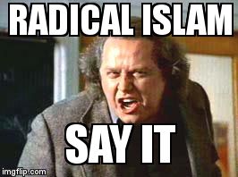 Crazy Professor | RADICAL ISLAM SAY IT | image tagged in humor | made w/ Imgflip meme maker