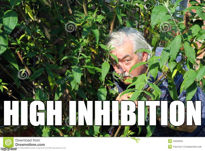 HIGH INHIBITION | made w/ Imgflip meme maker