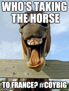 horsesmile | WHO'S TAKING THE HORSE TO FRANCE?
#COYBIG | image tagged in horsesmile | made w/ Imgflip meme maker