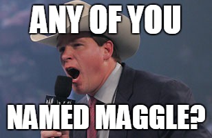 JBL | ANY OF YOU NAMED MAGGLE? | image tagged in jbl,wwe | made w/ Imgflip meme maker