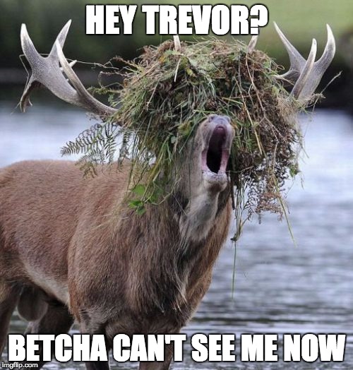 Camo_Elk | HEY TREVOR? BETCHA CAN'T SEE ME NOW | image tagged in camo_elk | made w/ Imgflip meme maker