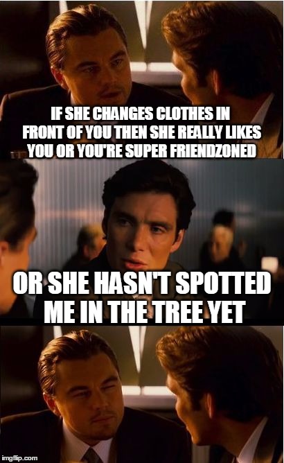 Inception Meme | IF SHE CHANGES CLOTHES IN FRONT OF YOU THEN SHE REALLY LIKES YOU OR YOU'RE SUPER FRIENDZONED OR SHE HASN'T SPOTTED ME IN THE TREE YET | image tagged in memes,inception | made w/ Imgflip meme maker
