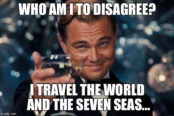 Leonardo Dicaprio Cheers Meme | WHO AM I TO DISAGREE? I TRAVEL THE WORLD AND THE SEVEN SEAS... | image tagged in memes,leonardo dicaprio cheers | made w/ Imgflip meme maker