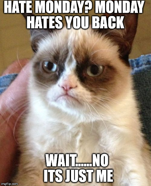 Grumpy Cat Meme | HATE MONDAY? MONDAY HATES YOU BACK WAIT......NO ITS JUST ME | image tagged in memes,grumpy cat | made w/ Imgflip meme maker