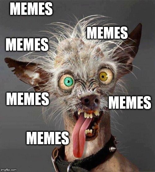 MEMES MEMES MEMES MEMES MEMES MEMES | made w/ Imgflip meme maker