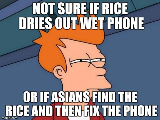 Futurama Fry | NOT SURE IF RICE DRIES OUT WET PHONE OR IF ASIANS FIND THE RICE AND THEN FIX THE PHONE | image tagged in memes,futurama fry | made w/ Imgflip meme maker