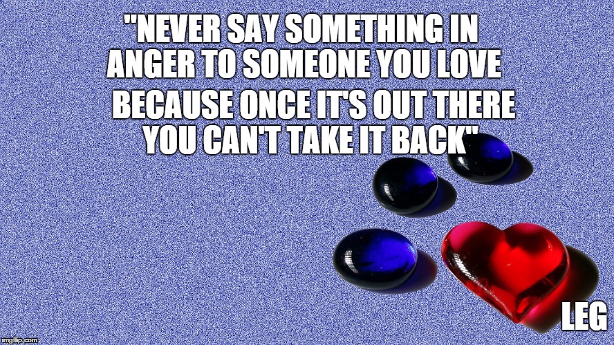 "NEVER SAY SOMETHING IN ANGER TO SOMEONE YOU LOVE BECAUSE ONCE IT'S OUT THERE YOU CAN'T TAKE IT BACK" LEG | image tagged in love | made w/ Imgflip meme maker