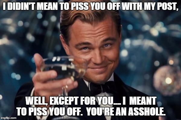 Leonardo Dicaprio Cheers | I DIDIN'T MEAN TO PISS YOU OFF WITH MY POST, WELL, EXCEPT FOR YOU.... I  MEANT TO PISS YOU OFF.  YOU'RE AN ASSHOLE. | image tagged in memes,leonardo dicaprio cheers | made w/ Imgflip meme maker