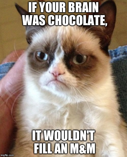 Grumpy Cat | IF YOUR BRAIN WAS CHOCOLATE, IT WOULDN'T FILL AN M&M | image tagged in memes,grumpy cat | made w/ Imgflip meme maker