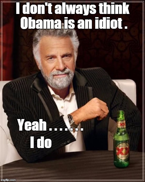 The Most Interesting Man In The World Meme | I don't always think Obama is an idiot . Yeah . . . . . . . I do | image tagged in memes,the most interesting man in the world | made w/ Imgflip meme maker