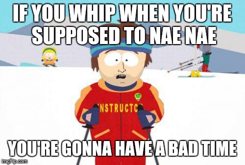 Super Cool Ski Instructor | IF YOU WHIP WHEN YOU'RE SUPPOSED TO NAE NAE YOU'RE GONNA HAVE A BAD TIME | image tagged in gonna have a bad time | made w/ Imgflip meme maker