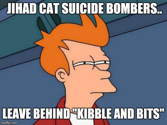 Futurama Fry Meme | JIHAD CAT SUICIDE BOMBERS.. LEAVE BEHIND "KIBBLE AND BITS" | image tagged in memes,futurama fry | made w/ Imgflip meme maker