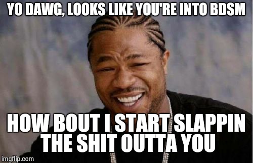 Yo Dawg Heard You Meme | YO DAWG, LOOKS LIKE YOU'RE INTO BDSM HOW BOUT I START SLAPPIN THE SHIT OUTTA YOU | image tagged in memes,yo dawg heard you | made w/ Imgflip meme maker