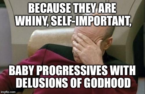 Captain Picard Facepalm Meme | BECAUSE THEY ARE WHINY, SELF-IMPORTANT, BABY PROGRESSIVES WITH DELUSIONS OF GODHOOD | image tagged in memes,captain picard facepalm | made w/ Imgflip meme maker