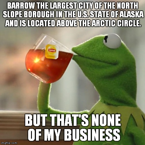 But That's None Of My Business Meme | BARROW THE LARGEST CITY OF THE NORTH SLOPE BOROUGH IN THE U.S. STATE OF ALASKA AND IS LOCATED ABOVE THE ARCTIC CIRCLE. BUT THAT'S NONE OF MY | image tagged in memes,but thats none of my business,kermit the frog | made w/ Imgflip meme maker