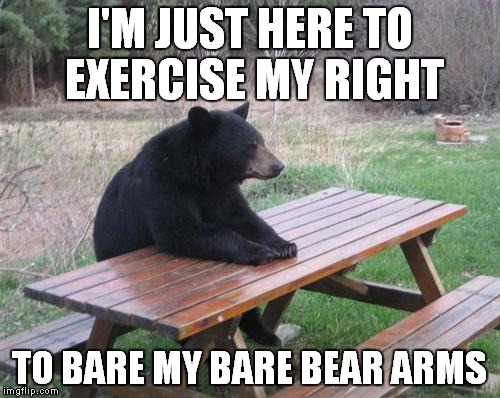 Yes, I support the 2nd Amendment, but I thought this was funny | I'M JUST HERE TO EXERCISE MY RIGHT TO BARE MY BARE BEAR ARMS | image tagged in memes,bad luck bear,2nd amendment | made w/ Imgflip meme maker