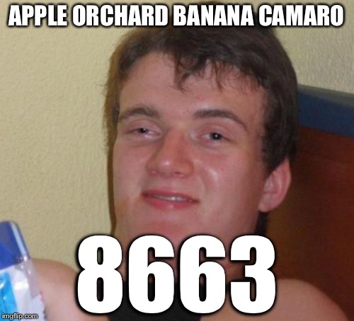 10 Guy Meme | APPLE ORCHARD BANANA CAMARO 8663 | image tagged in memes,10 guy | made w/ Imgflip meme maker