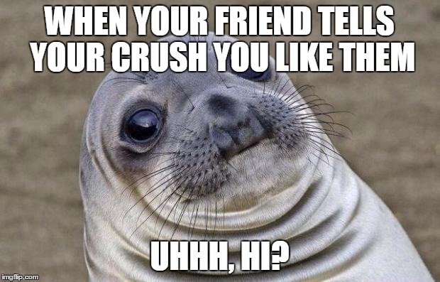 Awkward Moment Sealion | WHEN YOUR FRIEND TELLS YOUR CRUSH YOU LIKE THEM UHHH, HI? | image tagged in memes,awkward moment sealion | made w/ Imgflip meme maker