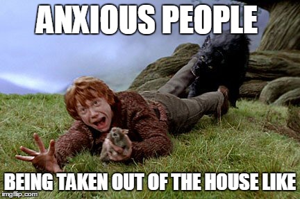 socially awkward people be like | ANXIOUS PEOPLE BEING TAKEN OUT OF THE HOUSE LIKE | image tagged in anxiety cat,anxiety | made w/ Imgflip meme maker