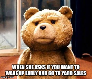TED | WHEN SHE ASKS IF YOU WANT TO WAKE UP EARLY AND GO TO YARD SALES | image tagged in memes,ted | made w/ Imgflip meme maker