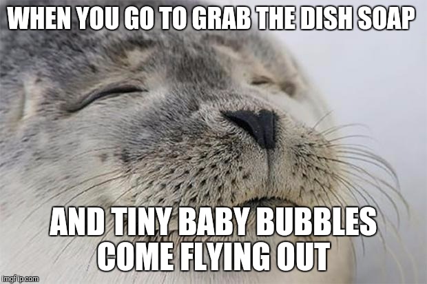 Satisfied Seal | WHEN YOU GO TO GRAB THE DISH SOAP AND TINY BABY BUBBLES COME FLYING OUT | image tagged in memes,satisfied seal,AdviceAnimals | made w/ Imgflip meme maker