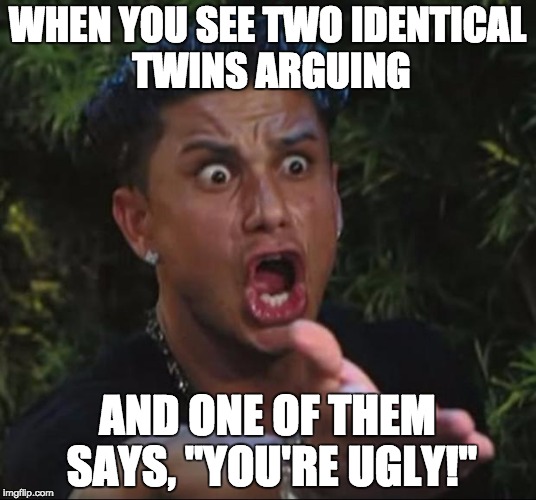 Facepalm | WHEN YOU SEE TWO IDENTICAL TWINS ARGUING AND ONE OF THEM SAYS, "YOU'RE UGLY!" | image tagged in memes,dj pauly d | made w/ Imgflip meme maker