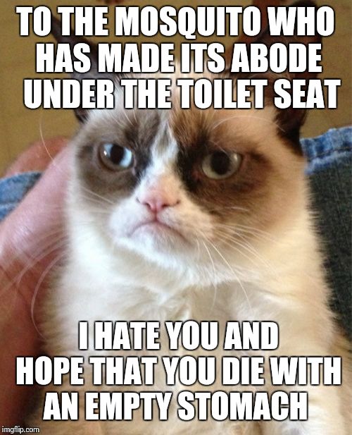 where you going to feed today; ankles, back,or bottom? 
The back, twice.. | TO THE MOSQUITO WHO HAS MADE ITS ABODE  UNDER THE TOILET SEAT I HATE YOU AND HOPE THAT YOU DIE WITH AN EMPTY STOMACH | image tagged in memes,grumpy cat | made w/ Imgflip meme maker