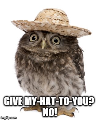 Hatisfaction guaranteed | GIVE MY-HAT-TO-YOU? NO! | image tagged in sombrero owl,owls,hat | made w/ Imgflip meme maker