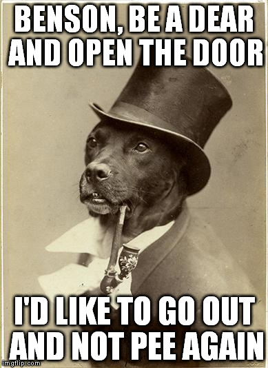 Old Money Dog | BENSON, BE A DEAR AND OPEN THE DOOR I'D LIKE TO GO OUT AND NOT PEE AGAIN | image tagged in old money dog | made w/ Imgflip meme maker