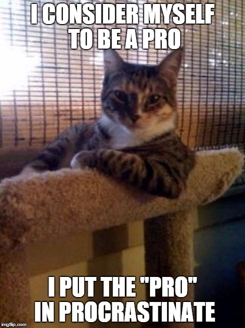 The Most Interesting Cat In The World | I CONSIDER MYSELF TO BE A PRO I PUT THE "PRO" IN PROCRASTINATE | image tagged in memes,the most interesting cat in the world | made w/ Imgflip meme maker