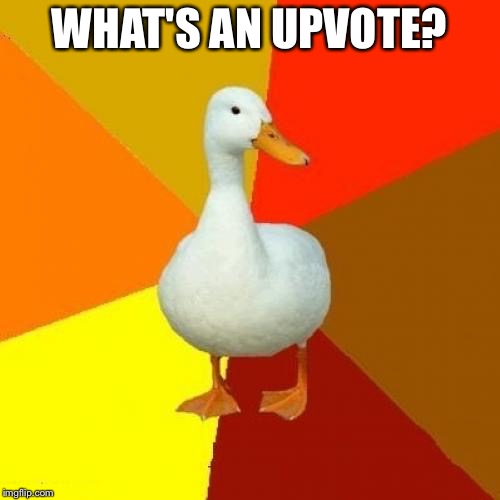u9ypn.jpg