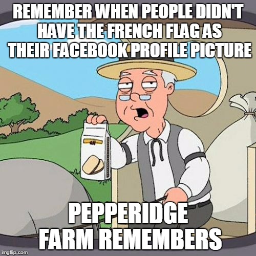 Pepperidge Farm Remembers | REMEMBER WHEN PEOPLE DIDN'T HAVE THE FRENCH FLAG AS THEIR FACEBOOK PROFILE PICTURE PEPPERIDGE FARM REMEMBERS | image tagged in memes,pepperidge farm remembers | made w/ Imgflip meme maker