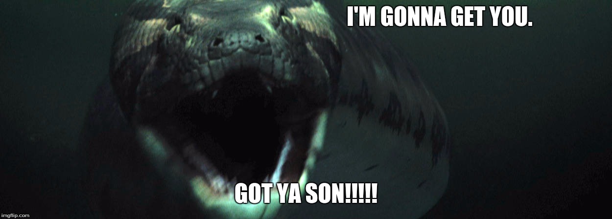 I'M GONNA GET YOU. GOT YA SON!!!!! | image tagged in got ya | made w/ Imgflip meme maker