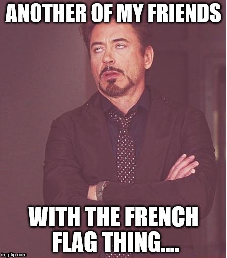 Face You Make Robert Downey Jr | ANOTHER OF MY FRIENDS WITH THE FRENCH FLAG THING.... | image tagged in memes,face you make robert downey jr | made w/ Imgflip meme maker